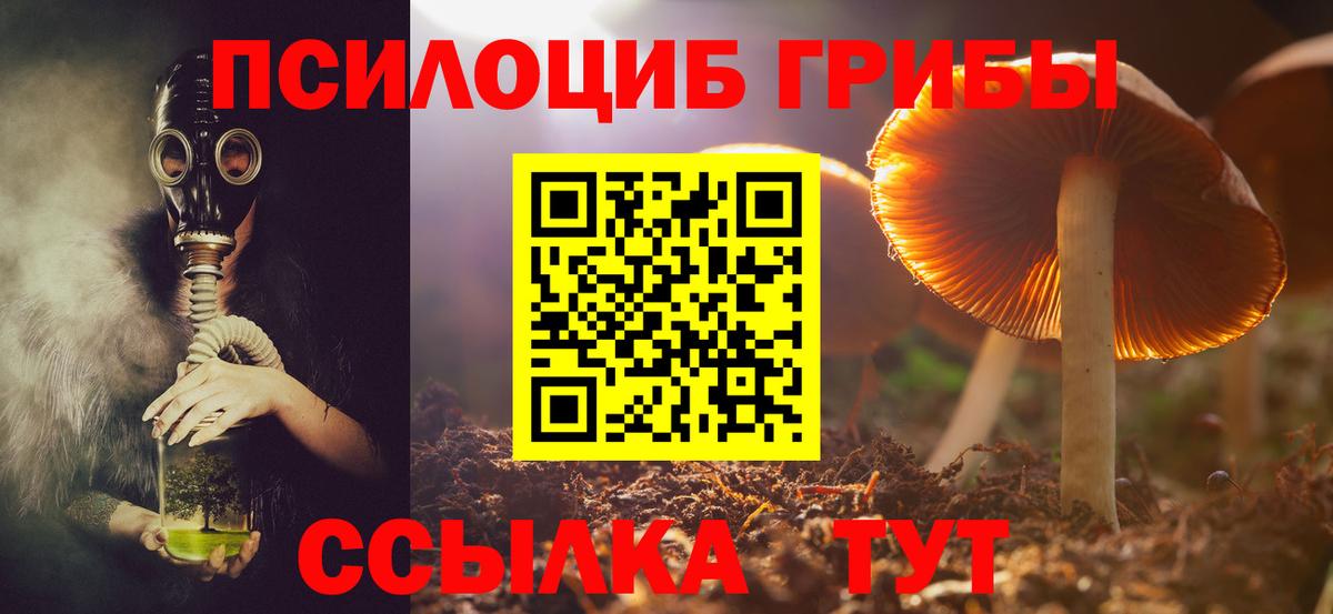 Галлюциногенные грибы прущие грибы Пятигорск